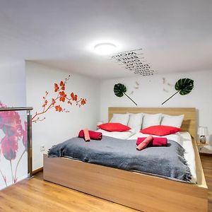Appartement met een Slaapkamer